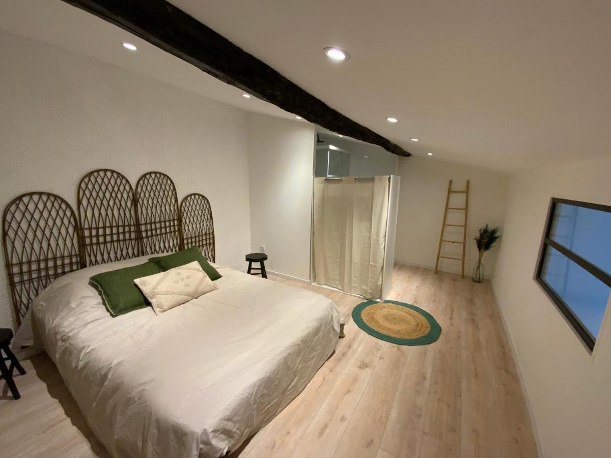 Tres Bel Appartement Refait A Neuf Perpignan Dış mekan fotoğraf